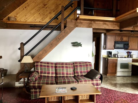 Living Room (Master Bedroom up the stairs)