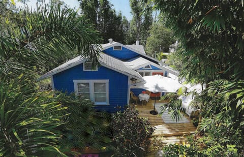 The backyard viewed from the Treehouse Studio