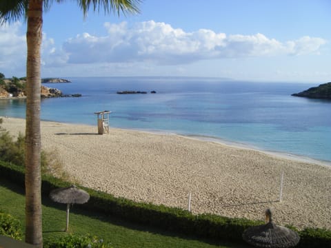 View from the terrace