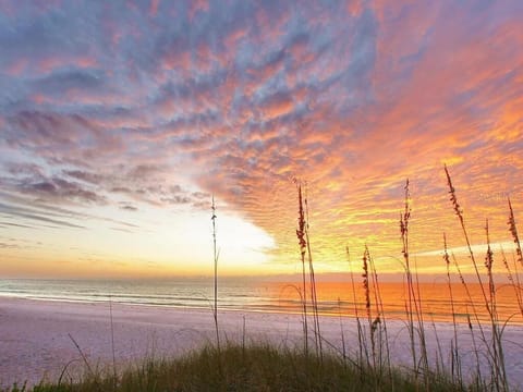 Sunset views on the beach
