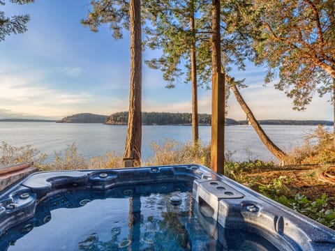 Forest and Sea,
Between two nations,
Between the high and low tide,
and the open and protected waters.
Between the dug-out cedar canoe and the fiberglass yacht,
the American and the English Camp,
the pull of adventure and the siren call of days spent in the hammock swing...

Welcome to The Space Between.