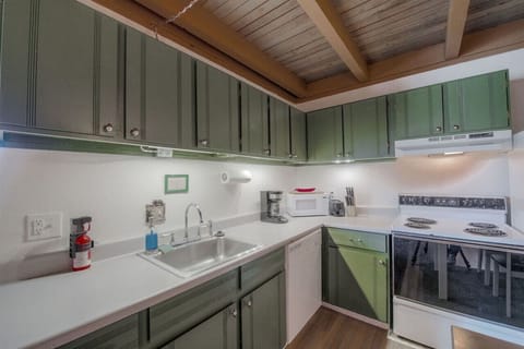 The kitchen is equipped with modern appliances and basic spices