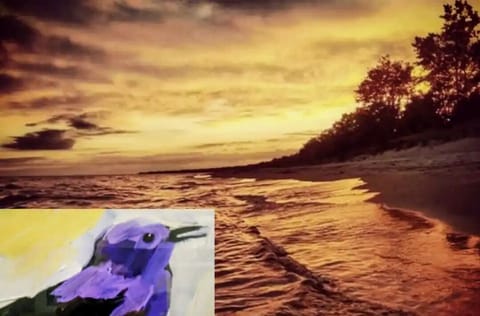 The purple finch represents joy, appreciation, positivity and optimism.