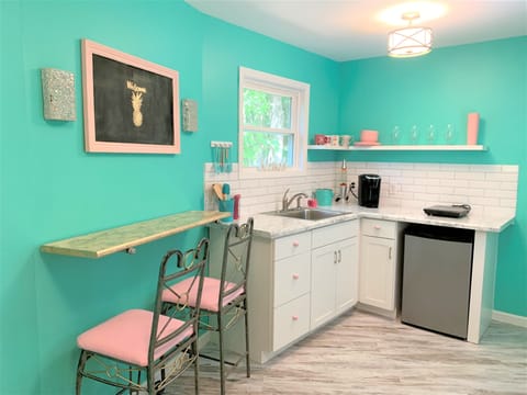 Mini fridge, Toaster and Hot plate