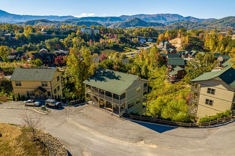 Drone view of our neighborhood--plenty of flat street parking and large driveway with a convenience store with pizza in walking distance