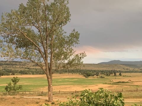 Amazing views from our patio and backyard.