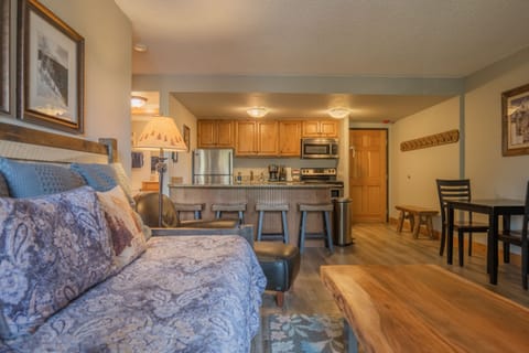 Open floor plan one bedroom unit