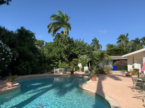Zen Garden on far side of the pool w the private patio and back entrance hidden