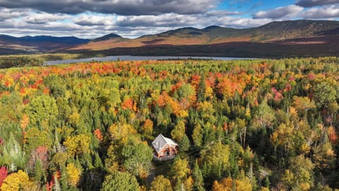Our little cabin in the woods