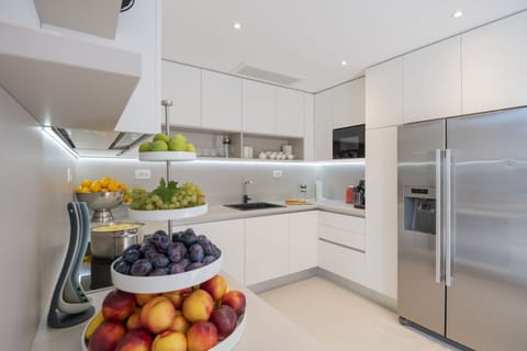 Kitchen equipped with fridge, oven and sink in a luxury vacation villa in Brela