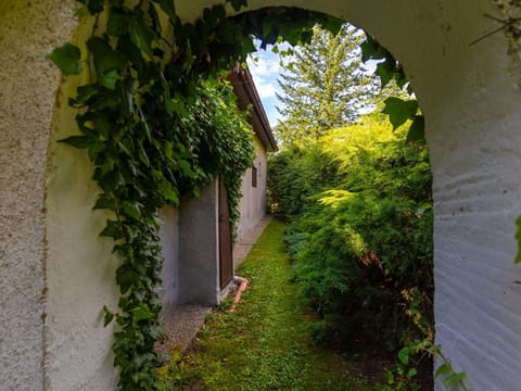 Plant, Property, Building, Window, Flower, Road Surface, Sunlight, Grass, Biome, Shade