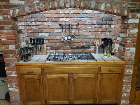 Propane stove - still usable during power outages!