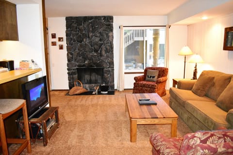 Living area with fire place