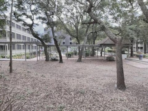 View From Balcony (1)