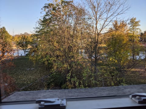 View from the window