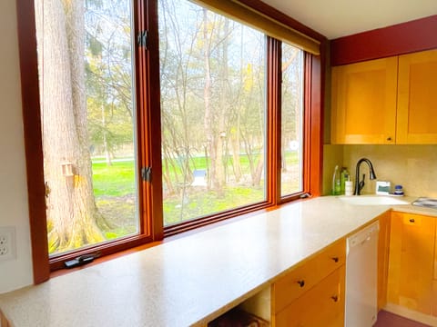 Ground Floor Kitchen