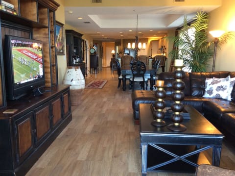 Entertaining area - Family Room
