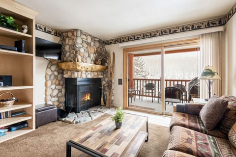 Wood burning fireplace in the living room 