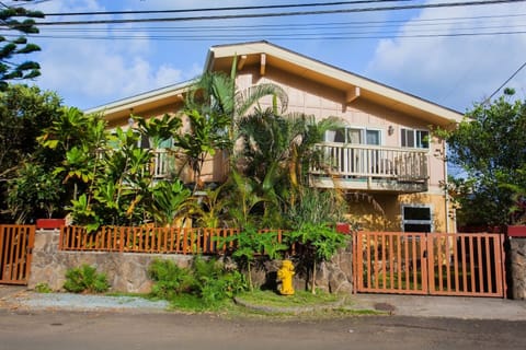 Locked gates & tall plants for added privacy