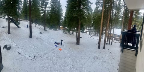 Great family fun sledding down our PRIVATE sledding hill!