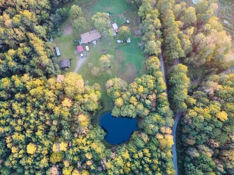 Bird Eye View