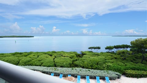 Ocean View from Balcony