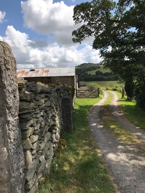 out and about on the farm