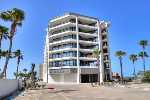 Modern beachfront building surrounded by swaying palm trees under clear blue skies, offering a tropical coastal setting for your stay.