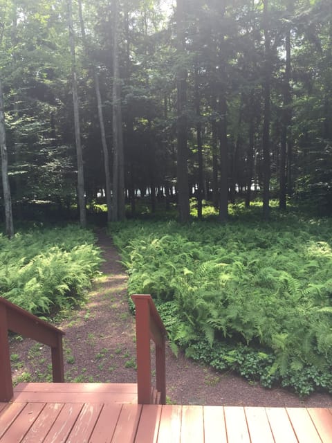 100 foot path to the beach and lake!