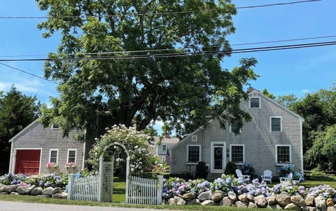 View from Sea Street
