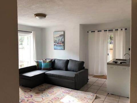 Downstairs Living Room with Kitchenette and Sofa bed