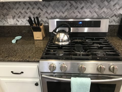 Gas stove and oven