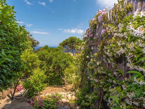 Sky, Cloud, Plant, Flower, Botany, Natural Landscape, Woody Plant, Flowering Plant, Tree, Shrub