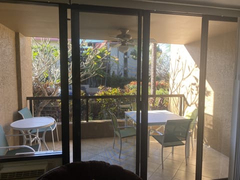 Lanai off of living room