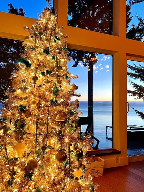 Celebrate a spectacular Christmas or New Year's on the Pacific Ocean this year!