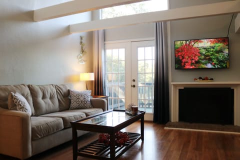 Living Room with big windows and lots of light and fire place