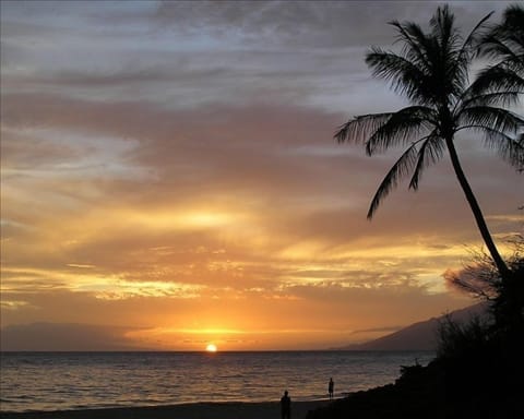 Enjoy these Hawaiian sunsets.