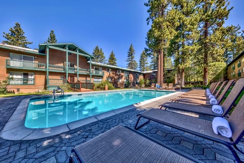 Lounge beside the sparkling pool framed by tall pines.