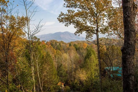 view from rear deck of Mountain Romance