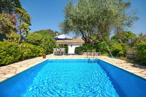 The pool %26amp%3B patio under the morning Sun