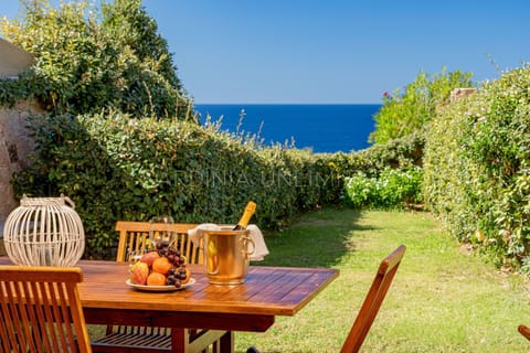 Balcony / Terrace / Patio