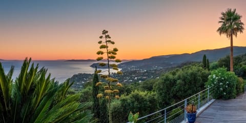 Our exotic lush garden offers an amazing view of the sea, the famous Cap Nègre, and the Rayol-Canadel village. Sunset is magical...