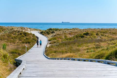 Papamoa boardwalk