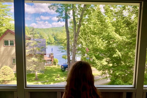 View (summer) from the covered / screened-in outdoor patio