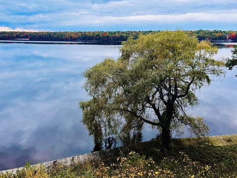 Gorgeous fall colors on the far side of the lake!
