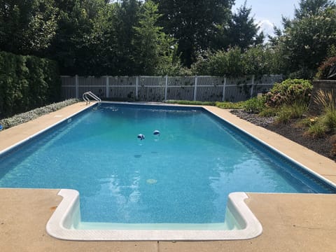 Cool off with a dip in the saltwater pool. 
