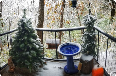 Bird Sanctuary. Please keep off.