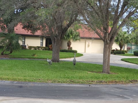 Beautiful Siesta Key Condo