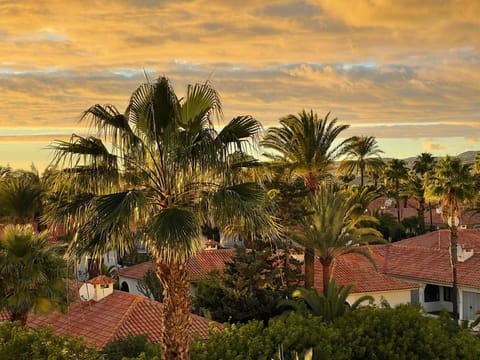 Evening on the balcony