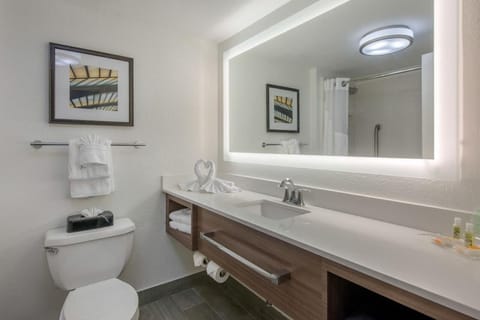 Full bathroom with a shower. Basic toiletries and towels are provided